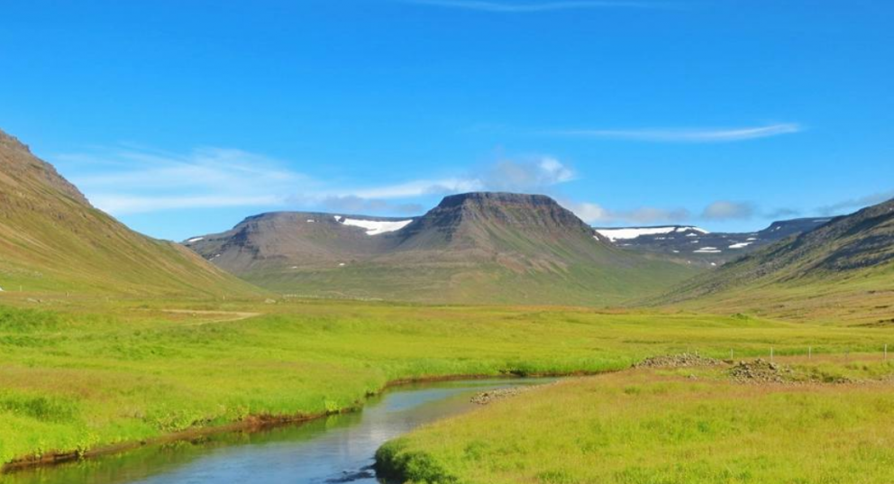 Nýr vefur Tourette-samtakanna í loftið ásamt nýju merki