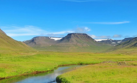 Nýr vefur Tourette-samtakanna í loftið ásamt nýju merki