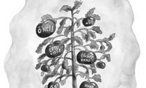 Umhyggja - Áhyggjutré